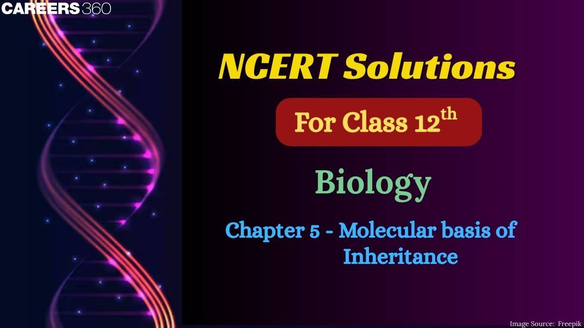 NCERT Solutions for Class 12 Biology Chapter 5 Molecular Basis of Inheritance